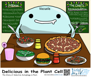 Plant Biology Illustration
